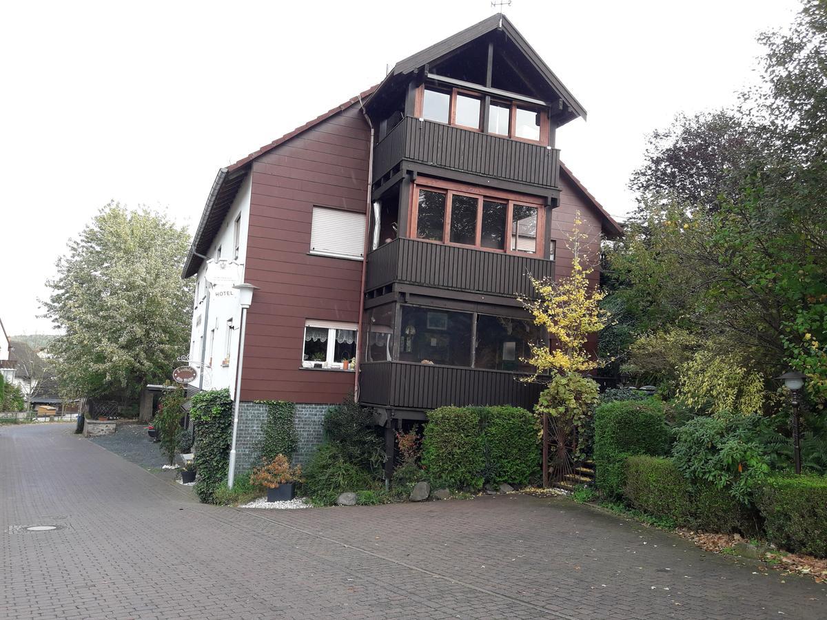 Landhotel Alte Muehle Modautal Kültér fotó