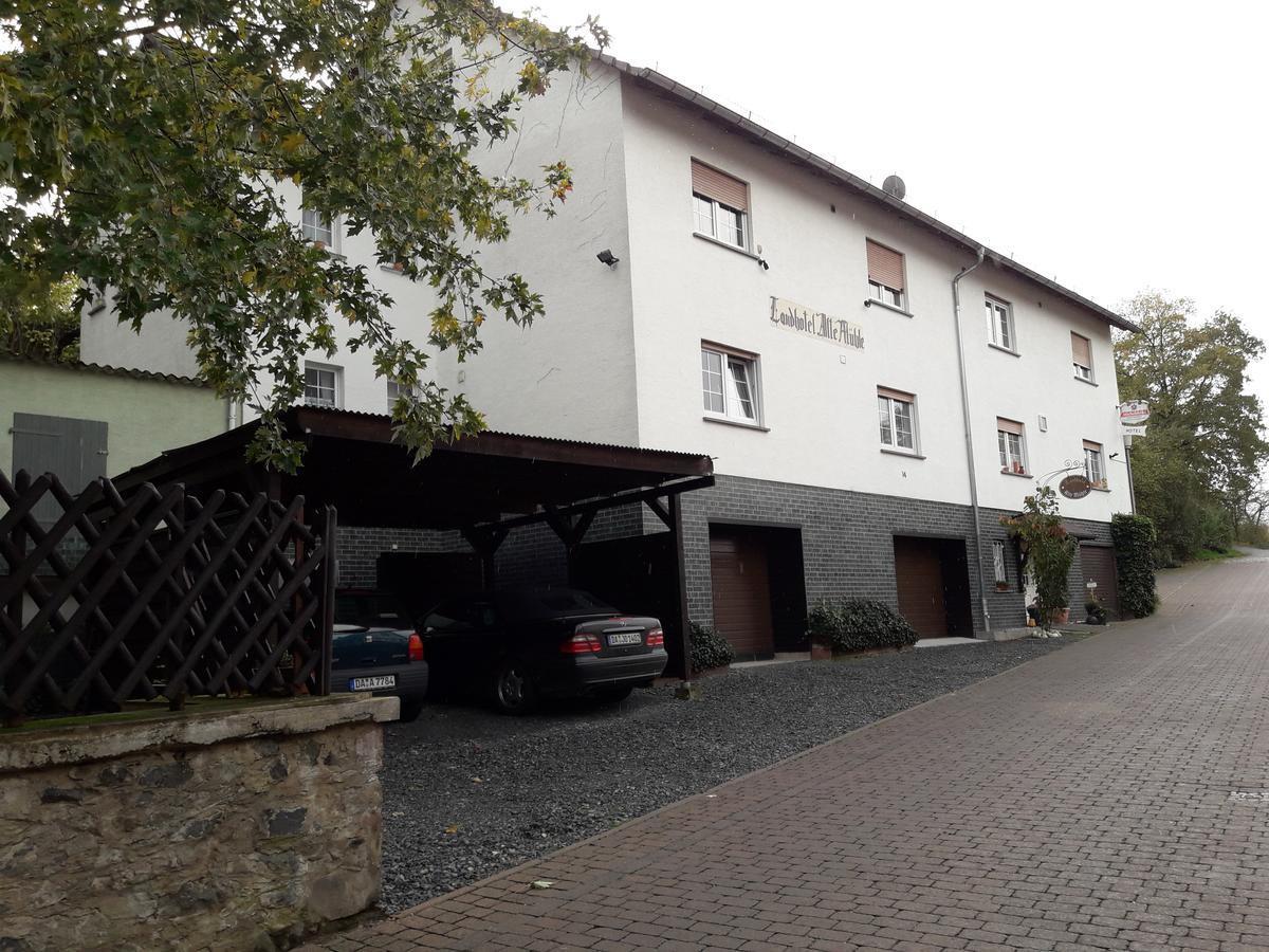 Landhotel Alte Muehle Modautal Kültér fotó
