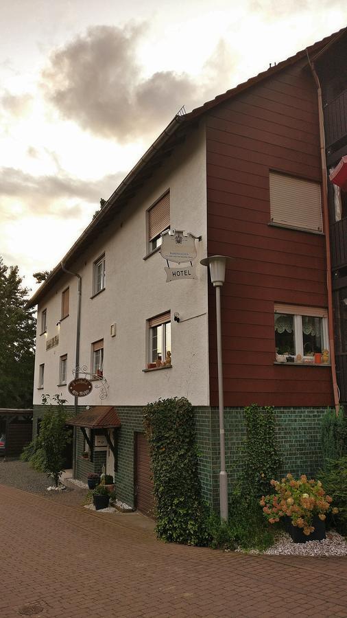 Landhotel Alte Muehle Modautal Kültér fotó